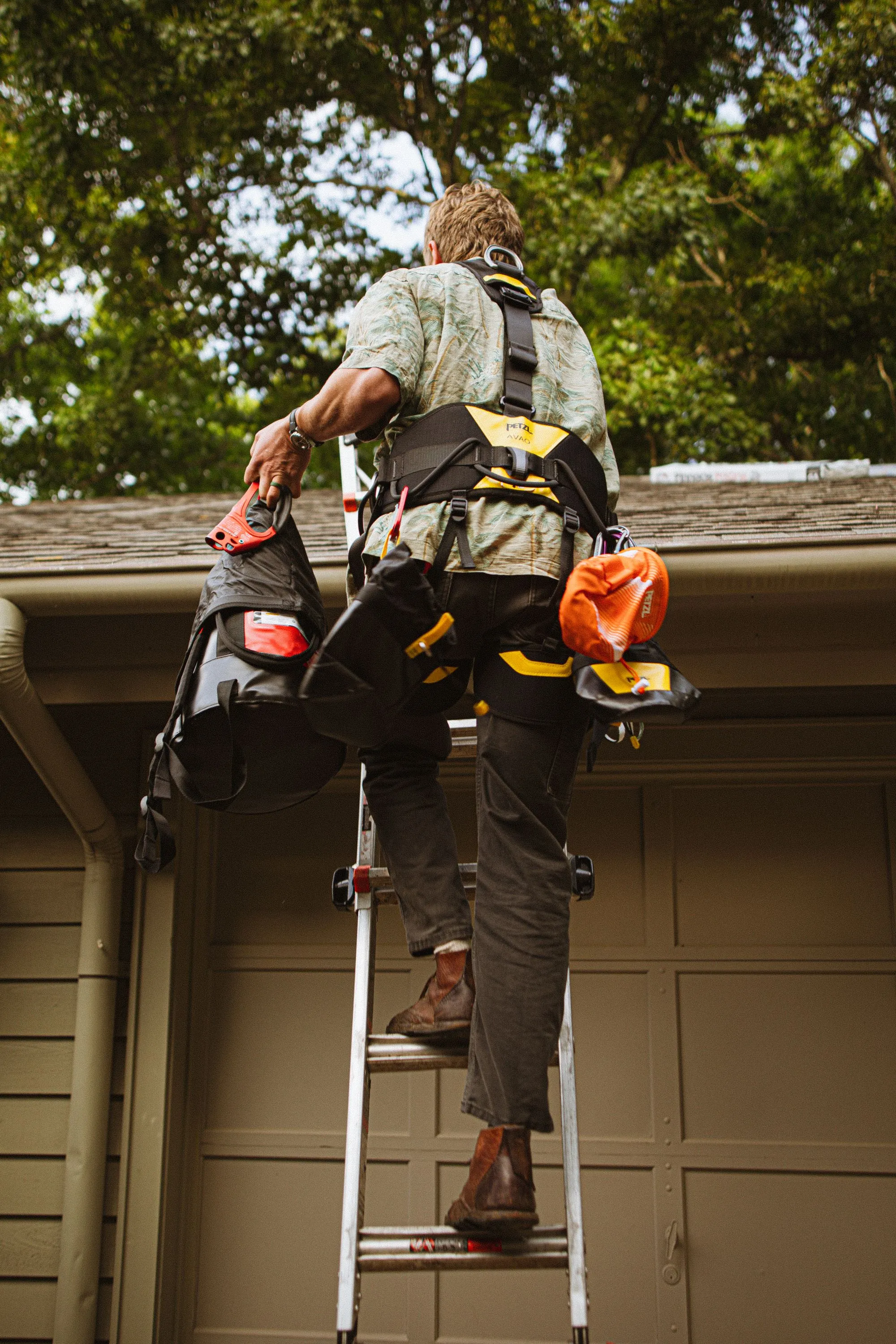 A ladder set against the eaves of a house ready for a roof inspection